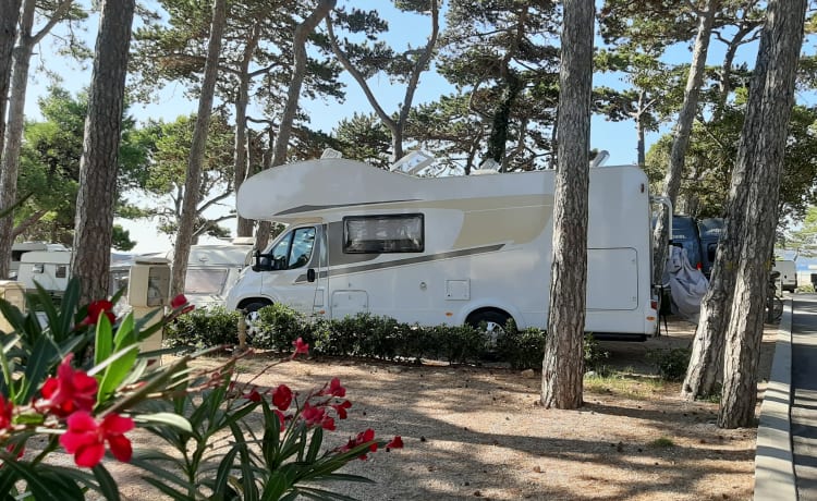 maxi 278 – Overcab family motorhome