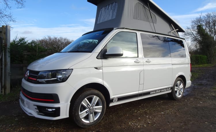 Camper VW T6 "Harley".