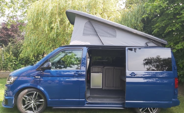 Blue – CAMPER 2019 VW TRANSPORTER