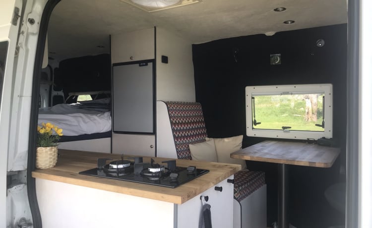 Bus camper 1