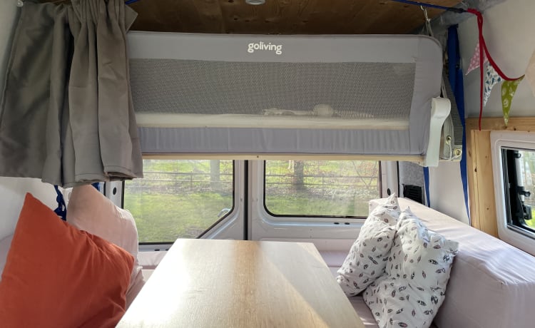 Vanneke – Veelzijdige camperbus met groot bed