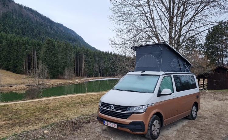 BATmobiel :) – VW California T6.1 met standverwarming