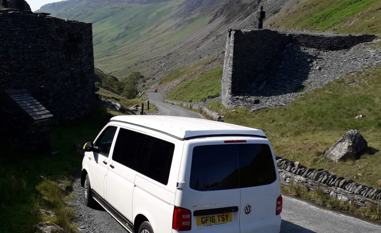 HONEYBEE – PET-FRIENDLY VW T6 WITH YELLOW INTERIOR