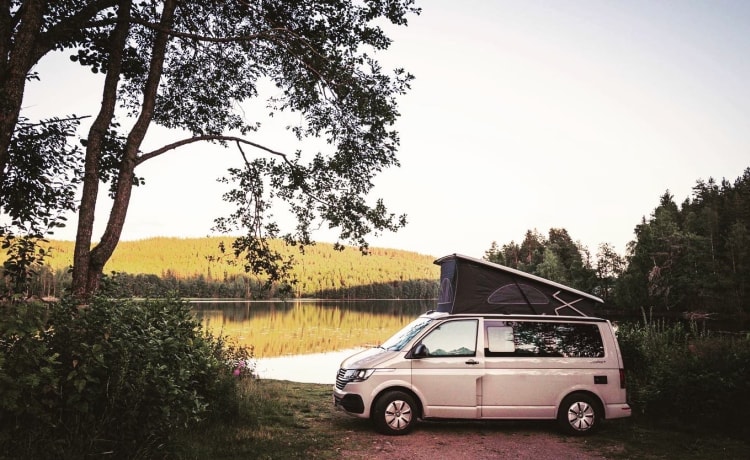 CALI Brown Grey – Volkswagen California COAST Braun/AscotGrau (2021)