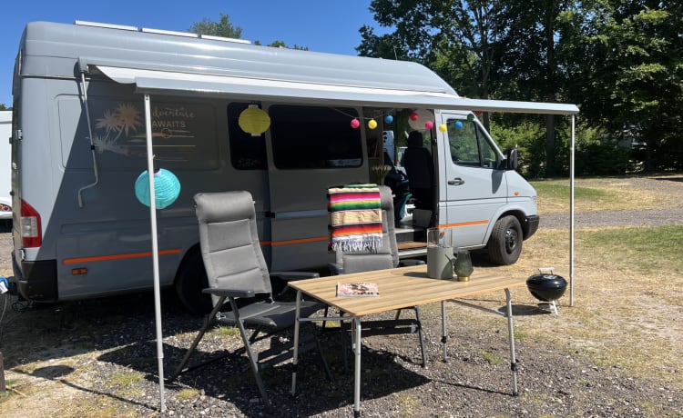 Bakbeest Bertje – 2p camper Bertje is looking for fun