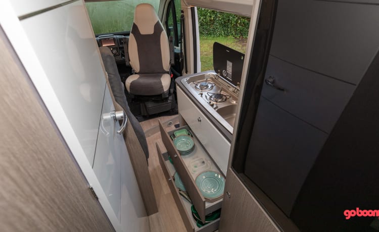 Hectorhetbusje – 2p Chausson Bus camper dal 2021