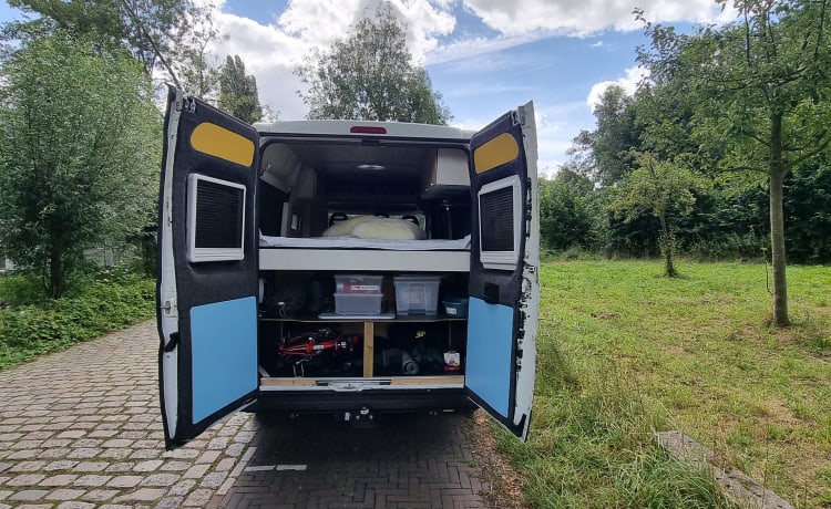 Op avontuur met Rosie - 2/3p Peugeot camperbus 