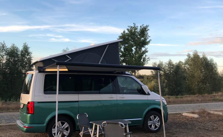 Kampie – Volkswagen California Ocean automatico