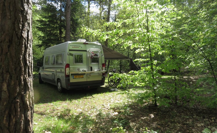 Camper bus 2 posti con letto fisso e servizi igienici