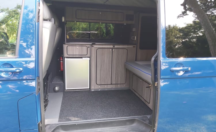 Blue – VW TRANSPORTER CAMPING-CAR 2019