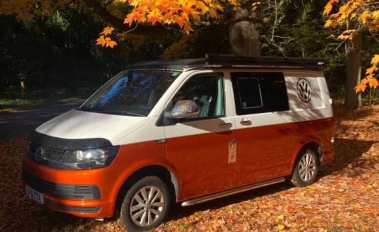 Velma – 4-persoons Volkswagen camper uit 2016