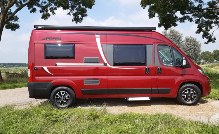 Amazone – Affascinante camper Citroen Jumper Bus per 2 persone