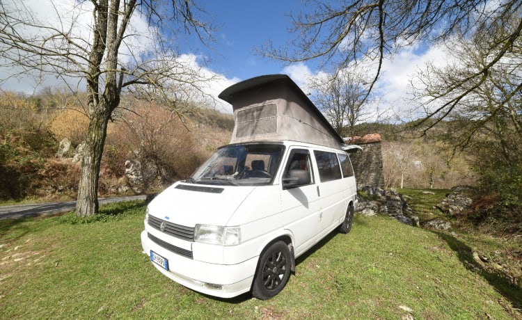 Rino il campeRino – Volkswagen T4 westfalia californië