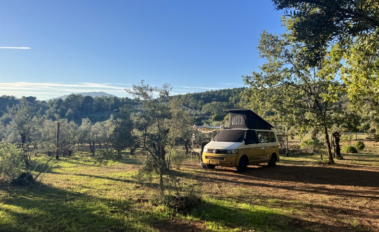 Billie – Le camping-car Volkswagen T5 pour 4p, avec transmission automatique et climatisation