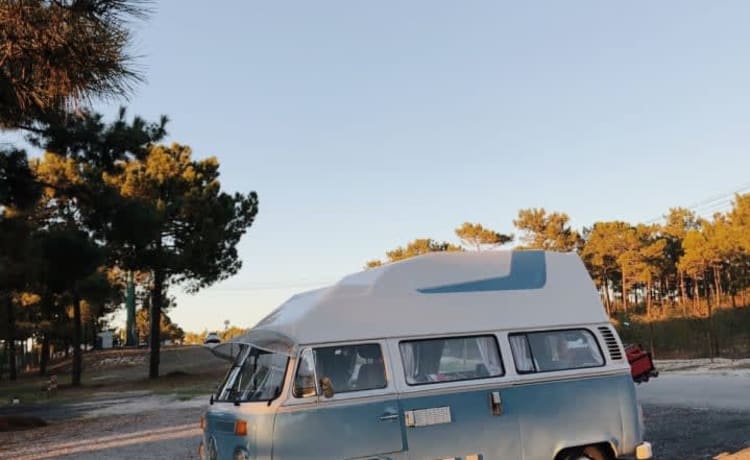 Loui – Camper Volkswagen T2