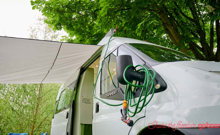 De Groenling – Camper bus ben guidabile per 2 pers. con bei mobili in affitto