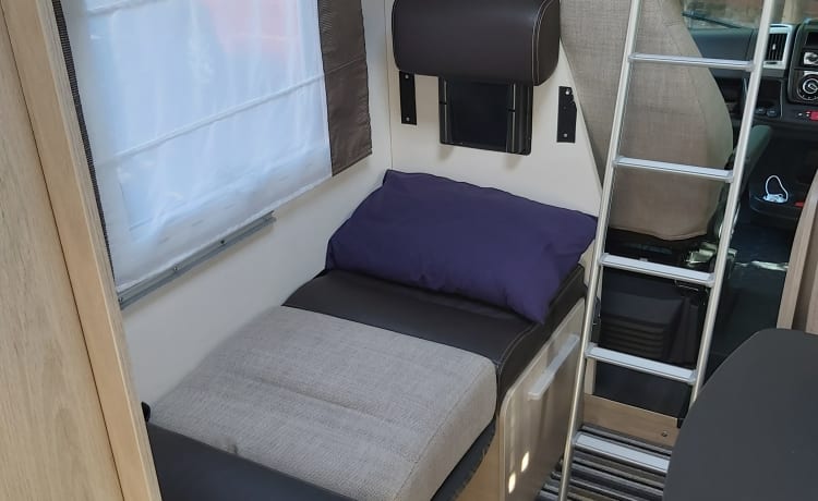 Carol – 7 Geboorte Chausson Flash 656 2019