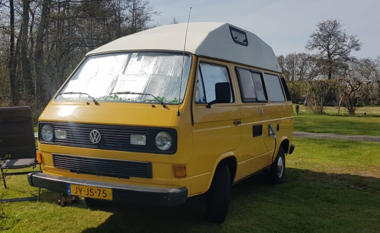 CHICO – gezellige, nette, kanariegele oldtimer VW T3 te huur!