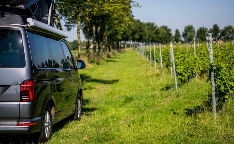 VW California 6.1 Ocean (2022) – 4 Personen – Automatik + Fahrradträger