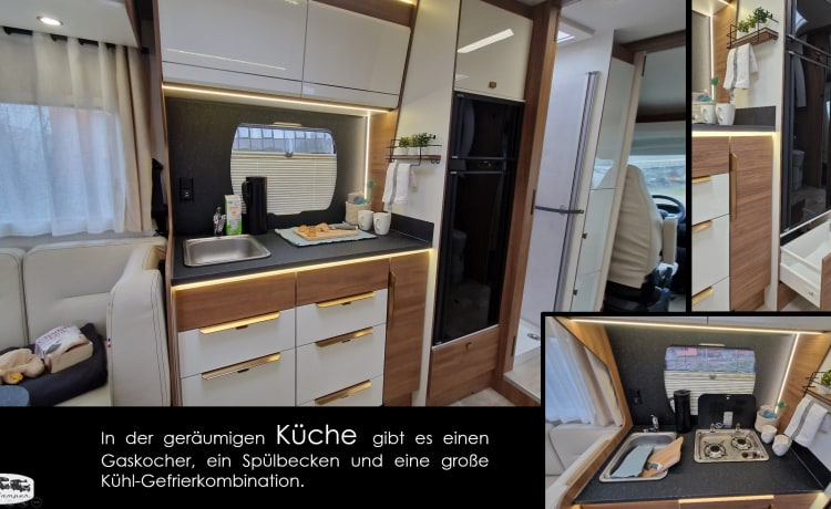 der U – (T) Floor plan with rear seating group: Pilote P696 U Evidence