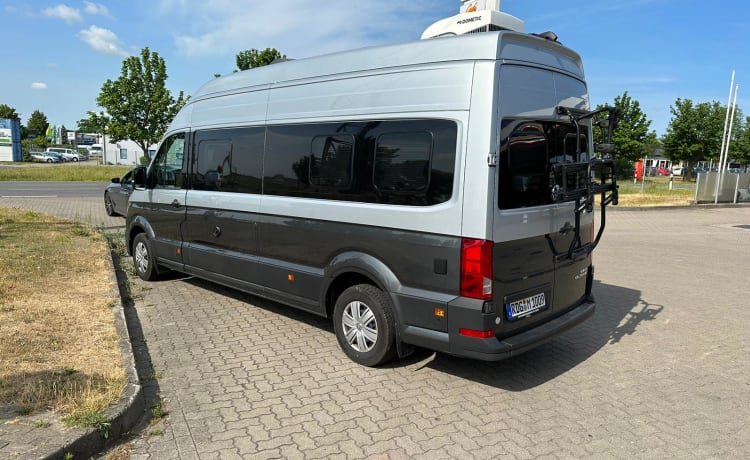 ZilverGrijs XL – VW Grand California 2.0L TDI 680 ab 2021