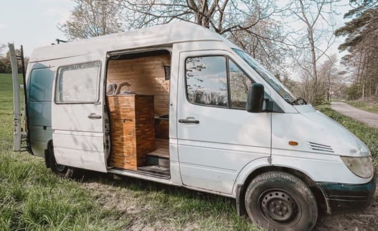 Sprinti – Großer Sprinter mit schickem Holzausbau und Dachfenster