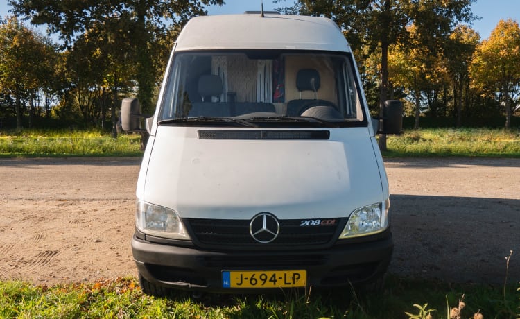 "Stiertje" – 2p Mercedes-Benz Bus von 2003