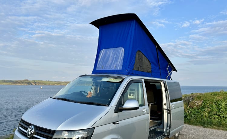 Tarquin – Tarquin de Cornish-camper