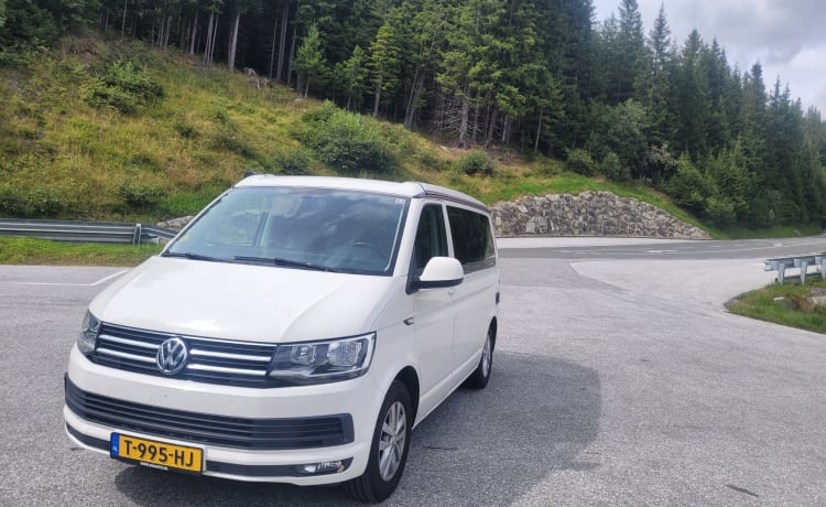 Cali  – Volkswagen California T6 (camper di fabbrica, originale)