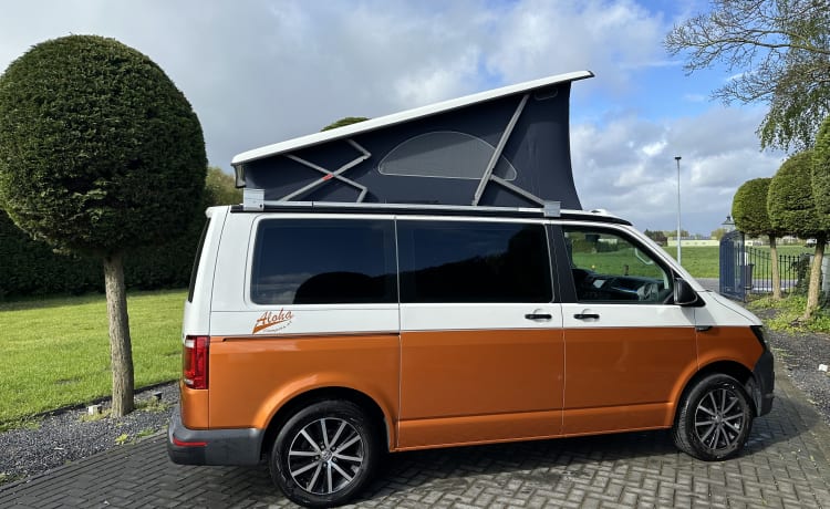 Camper Bronze – p Volkswagen bus from 2018