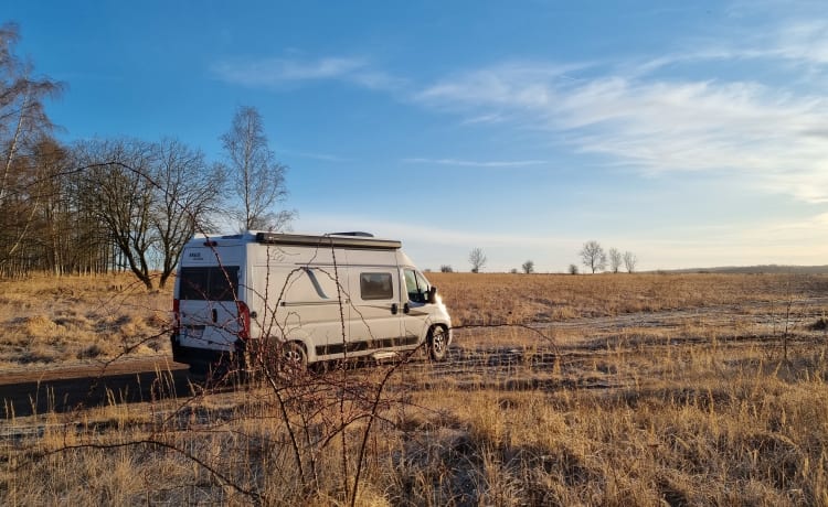 Globus – Camper bus ben attrezzato e accogliente con una vista unica