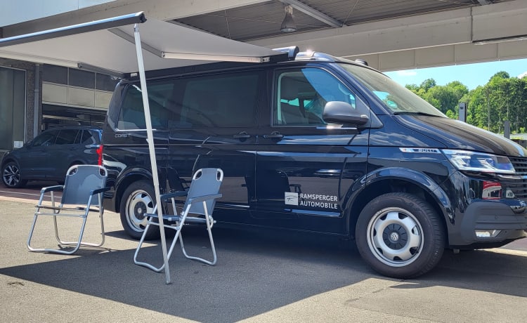 VW California 6.1 Coast Aufstelldach Kochfeld Kühlschrank Außendusche