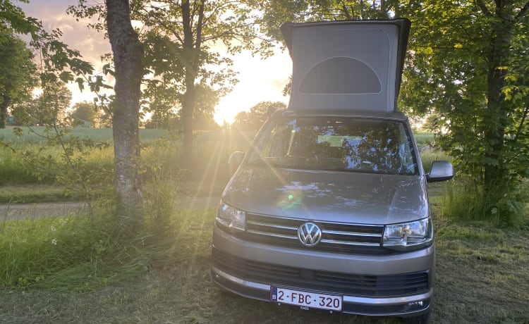 the.VANhoutte – Volkswagen California uit 2019 - 4 personen