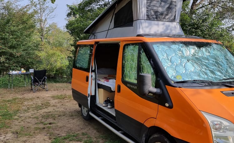 4p Ford campervan uit 2009