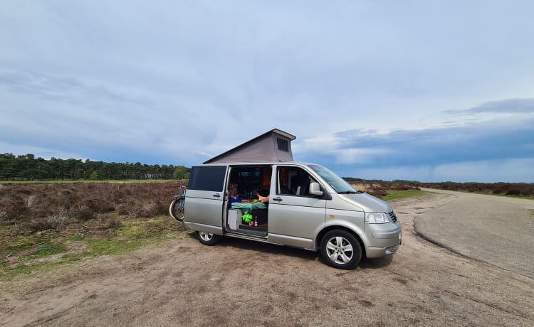 Goldie – Volkswagen T5 2 slaapplaatsen 5 zitplaatsen