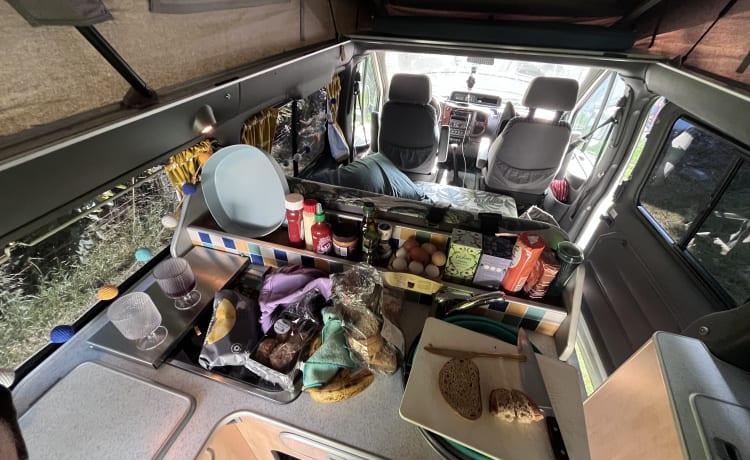 Ford Nugget Westfalia 4p handy layout