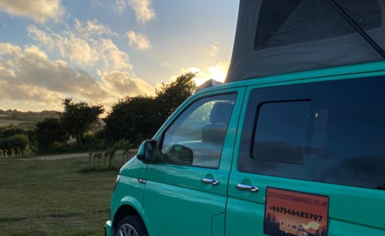 Scooby LWB – DOG FRIENDLY VW CAMPERVAN WITH ALL THE EXTRAS  FOR A GREAT HOLIDAY