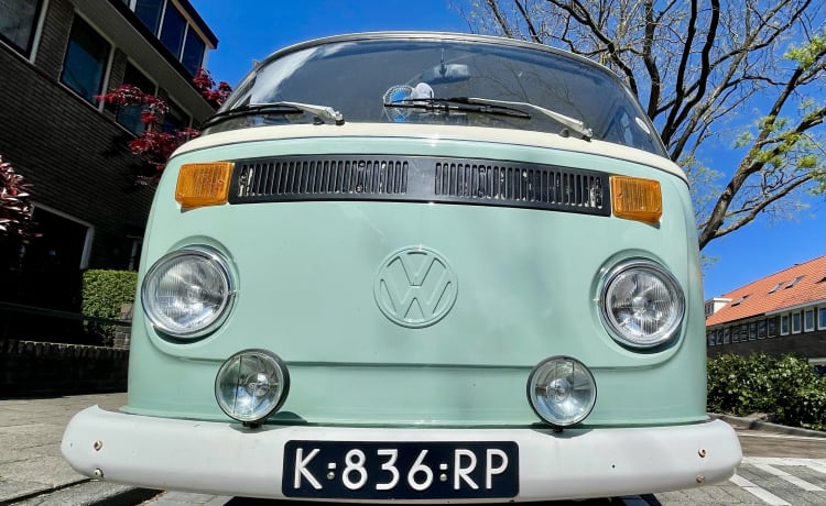Pistache – Classic VW T2 Panorama bus