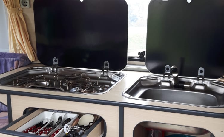 Lady – Comfortable, cheerfully pimpered, light Safari bus camper