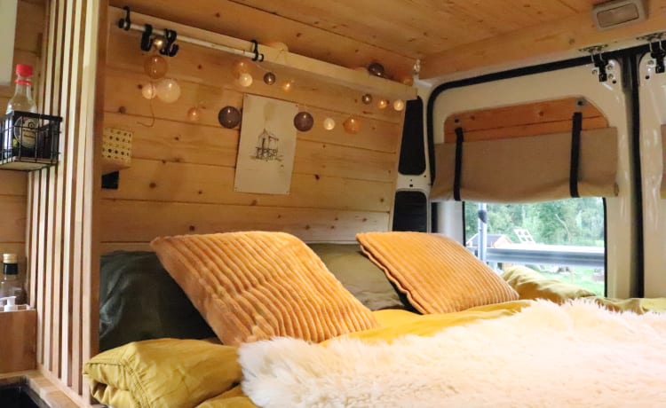 Willem – Willem - Camping-car confortable!