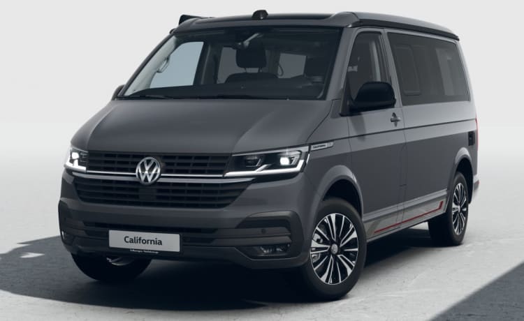 CALI Grey – Volkswagen California OCEAN Vert&Blanc