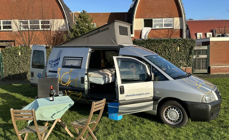 Cheetah – Cheetah 2 persoons Fiat Scudo buscamper