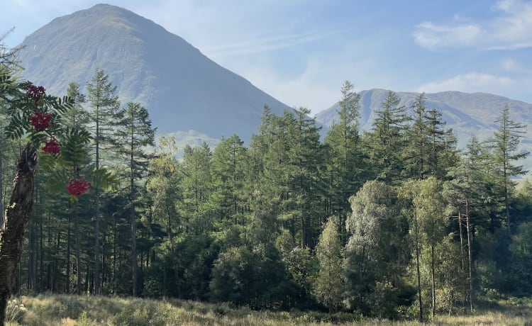 Acorn – 4 Berth Luxury VW Pop Top Campervan Loch Lomond
