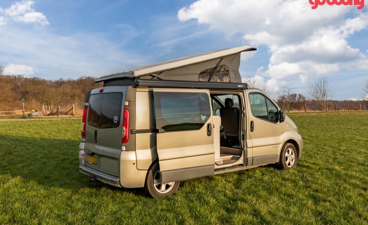 Roza – 4p Renault Camperbus from 2011 - suitable for almost any adventure!