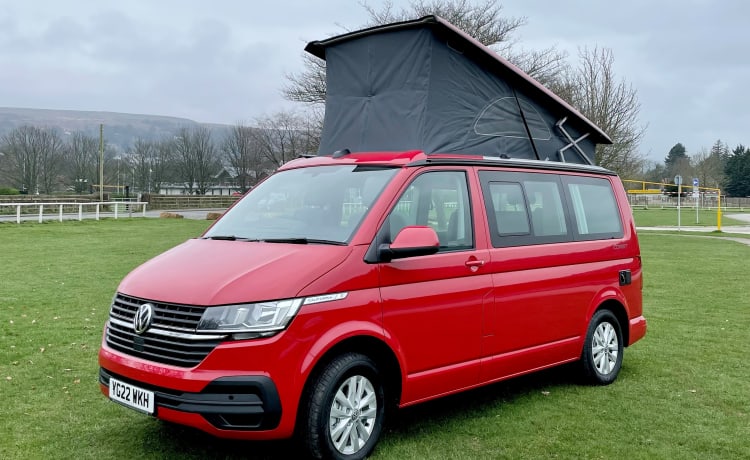 Liberty – 2022 VW T6.1 CALIFORNIA Wohnmobil 4 Schlafplätze - Automatik