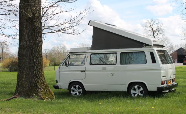 Volkswagen T3 Westfalia 