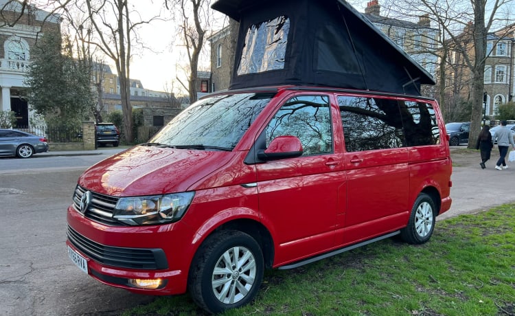 Ruby – Volkswagen Wohnmobil mit 4 Schlafplätzen aus dem Jahr 2017