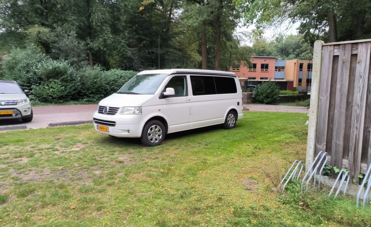 Liv – 2p Volkswagen campervan uit 2009