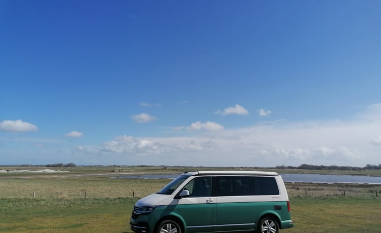 Kampie – Volkswagen California Ocean Automatik