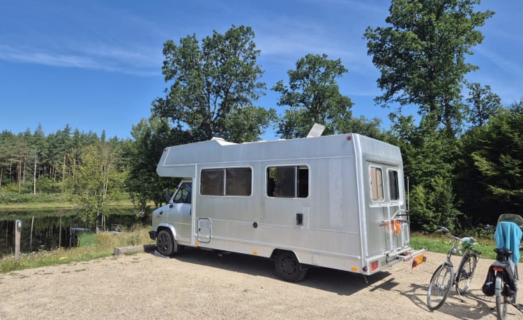 Camping-car Peugeot spacieux avec alcôve